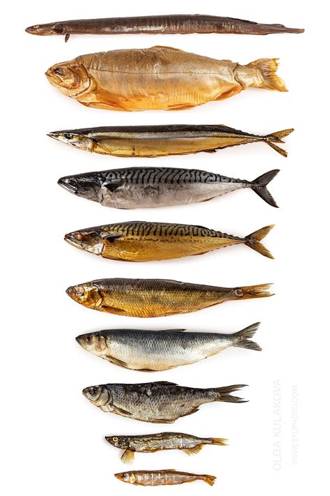 North Fish.